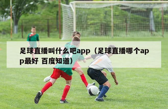 足球直播叫什么吧app（足球直播哪个app最好 百度知道）