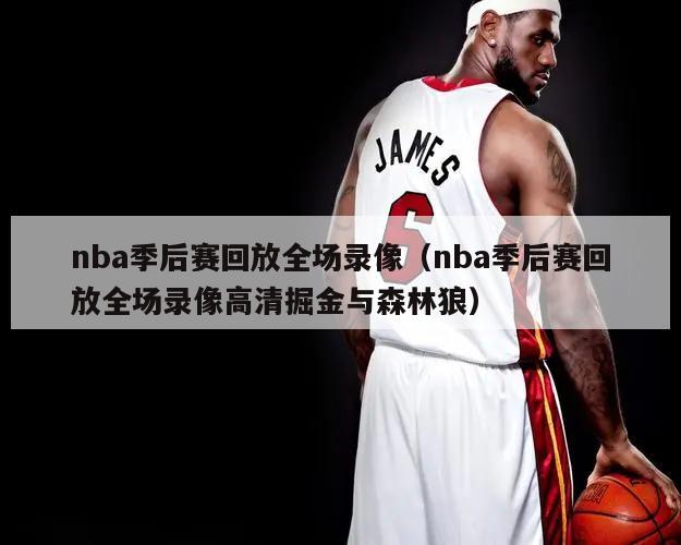 nba季后赛回放全场录像（nba季后赛回放全场录像高清掘金与森林狼）