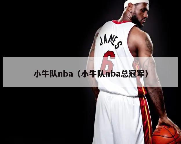 小牛队nba（小牛队nba总冠军）