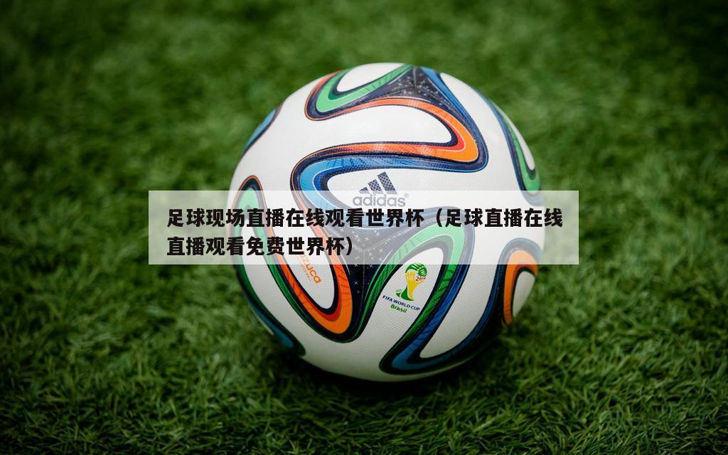 足球现场直播在线观看世界杯（足球直播在线直播观看免费世界杯）