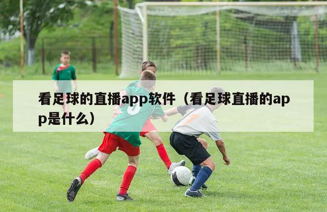 看足球的直播app软件（看足球直播的app是什么）