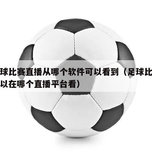 足球比赛直播从哪个软件可以看到（足球比赛可以在哪个直播平台看）